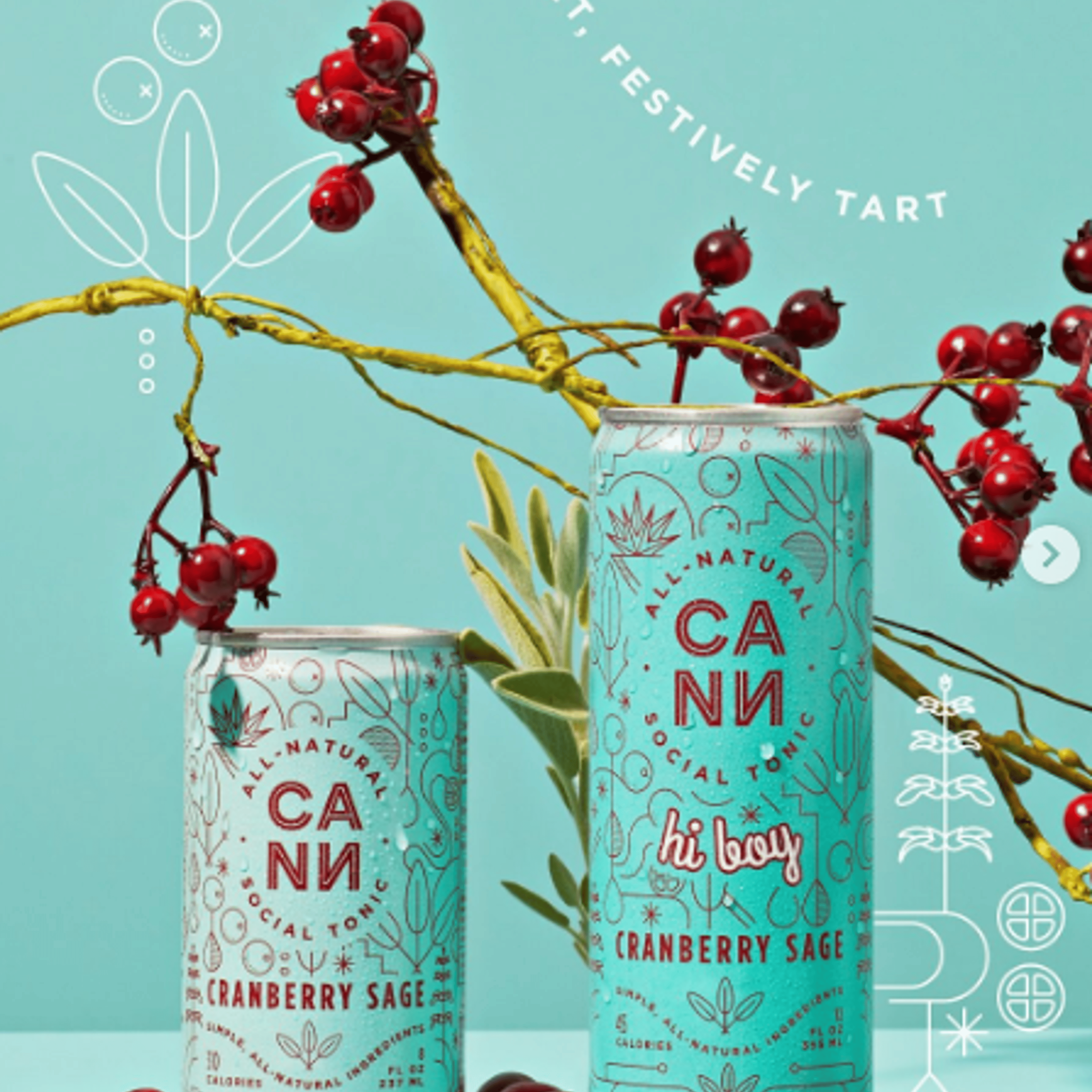 CANN Social Tonic 6pk - CANN - Grapefruit Rosemary 6pk - $32 - Edibles