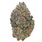 TURBO SHERB OG 3.5G - Kush Company -  - $62.50 - Flowers