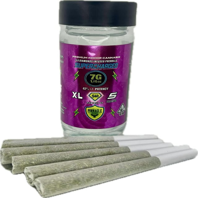 Raspberry Cooler | 5pk Infused Prerolls