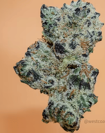 Sour Garlic Bread Budlets 3.5g