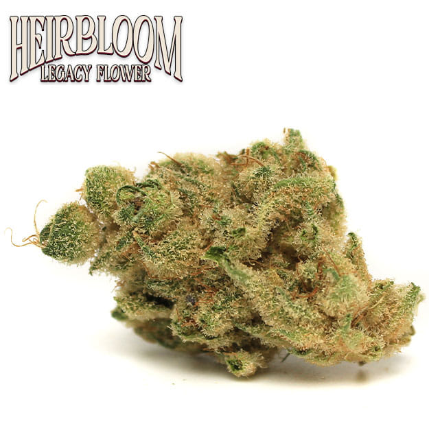 Heirbloom Legacy Flowers - Orange Crush - 3.5g *BOGO* - Heirbloom -  - $39.99 - Indoor Flowers