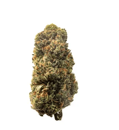 Blue Dream | Sativa | 14pk Pre-Roll