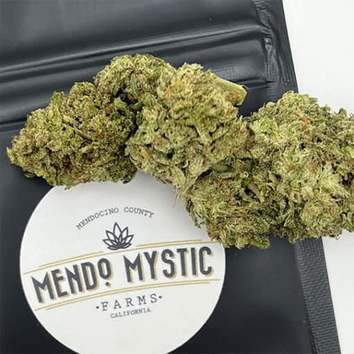 Mendo Mystic: Mystic Lights