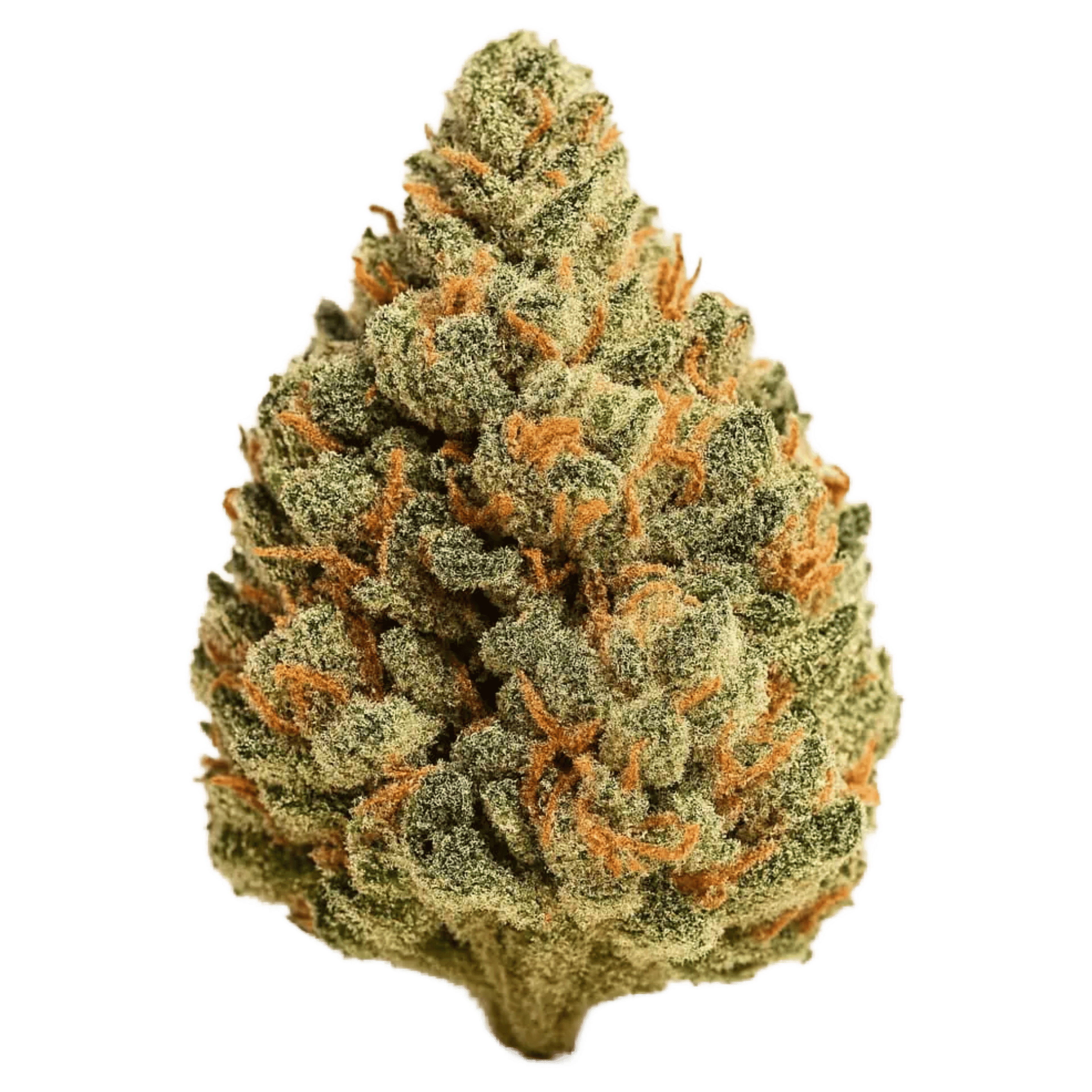 White Widow - Jar - Indoor Flower - Daze Off Powered by UpNorth - Eighth - $34.99 - Flower
