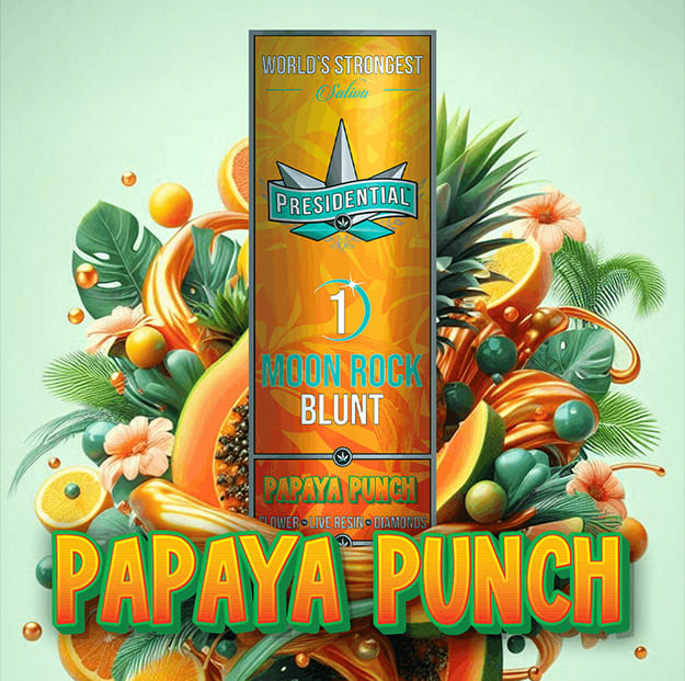 Presidential - Papaya Punch - Moon Rock Blunt - 1.5g - Presidential - Blunt - $18.99 - Blunts