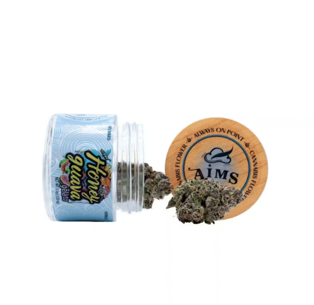 AIMS: Honey Guava Gelato (Hybrid) - 3.5g - AIMS -  - $40 - Flower