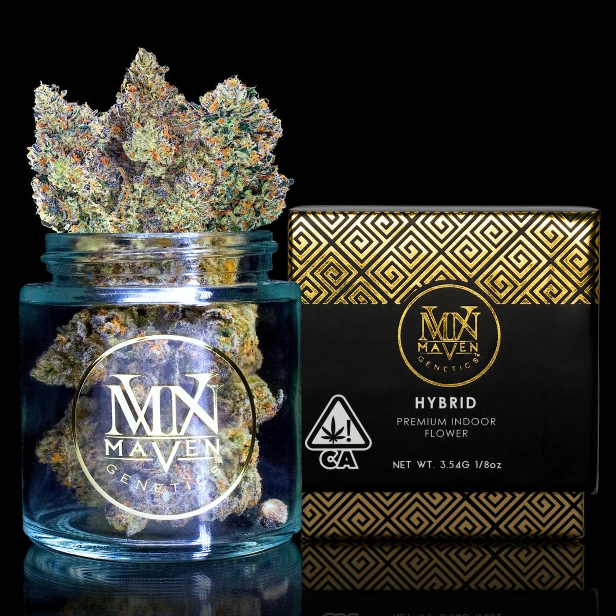 Maven Genetics — Chem 51