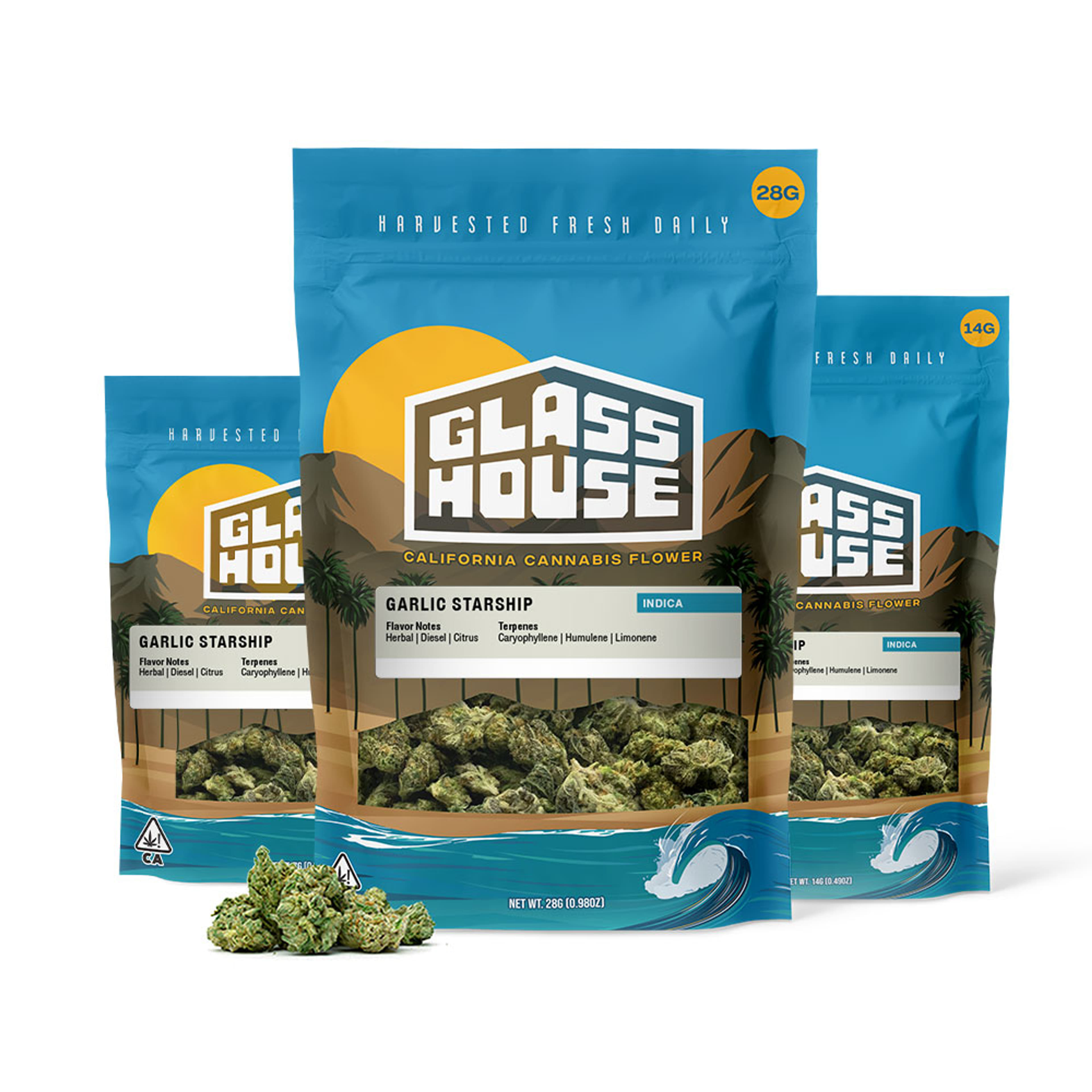 Garlic Starship - Glass House Farms - Eighth (29.07% THC) - $25 - Flowers