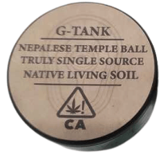 Tall Tree Society: G-tank - Temple Ball