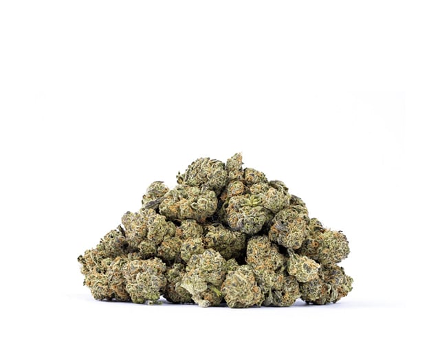 Governmint Oasis | 3.5g