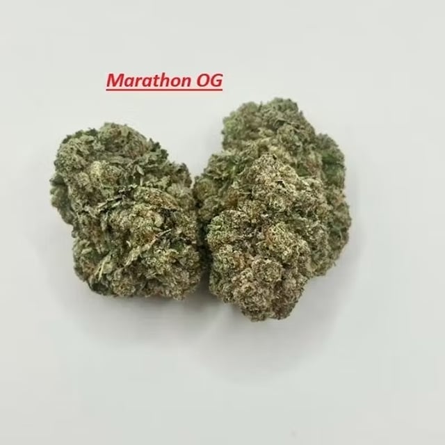 Bud Dynasty - 7g Top Shelf Flower - Marathon OG