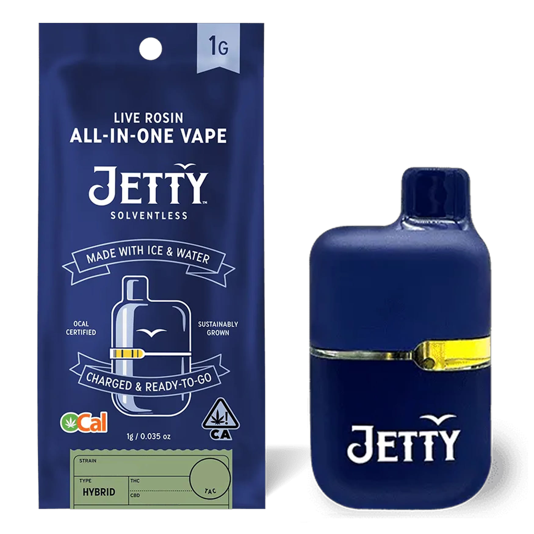 Jetty: Governmint Oasis