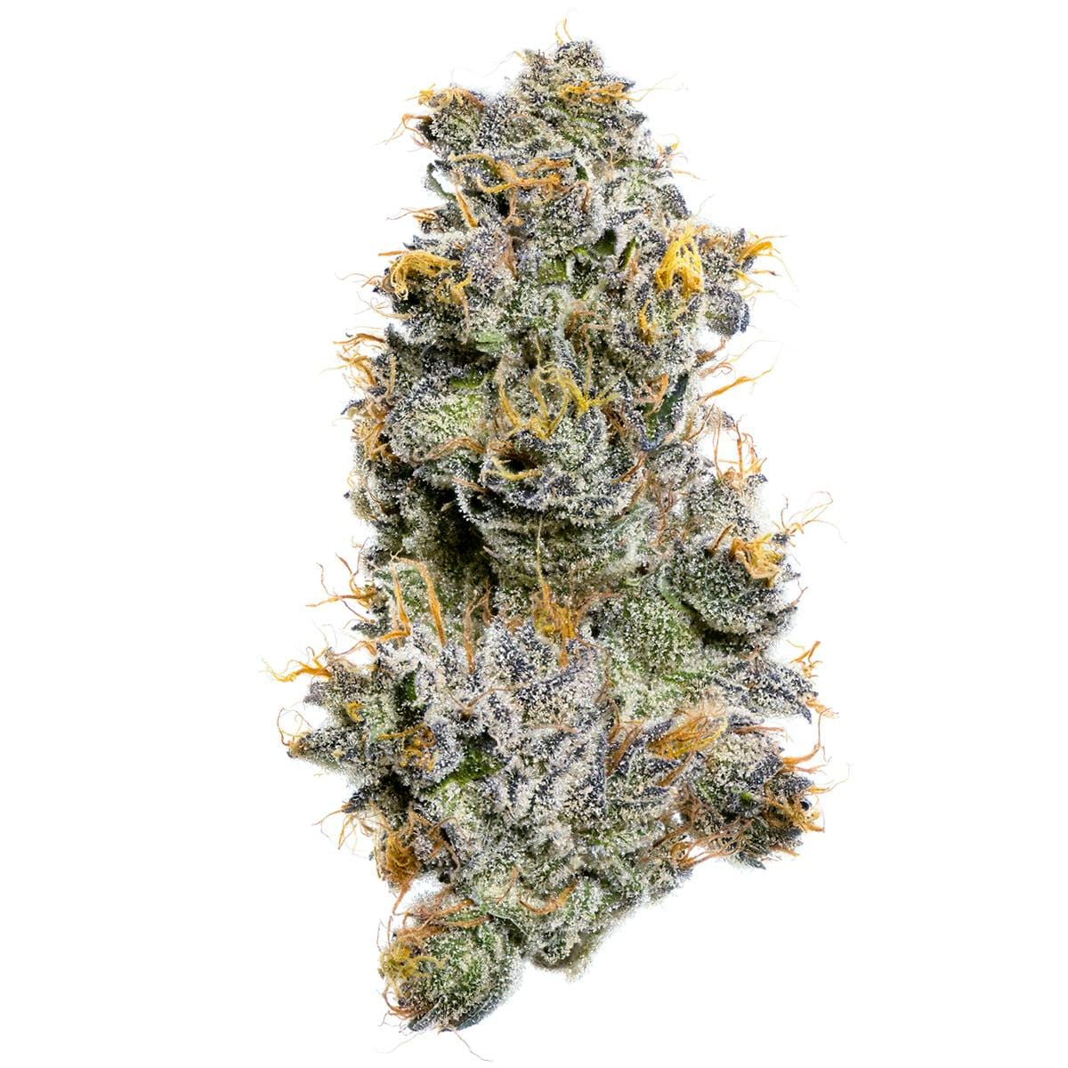 Sherbanger F2 - Jar - Indoor Flower - Fig Farms - Eighth - $49.99 - Flower