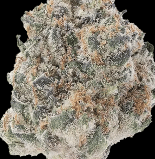 Ghost Milk | Flower
