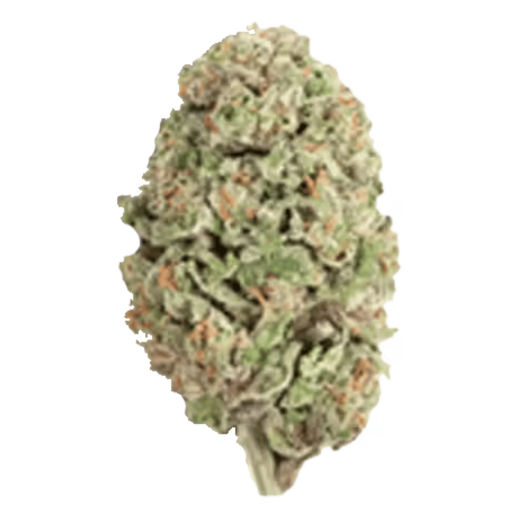 Wildcat - Flower (Smalls) - Field Trip - 5g Smalls - $12.50 - 4mo+ Flower (Date in Description)