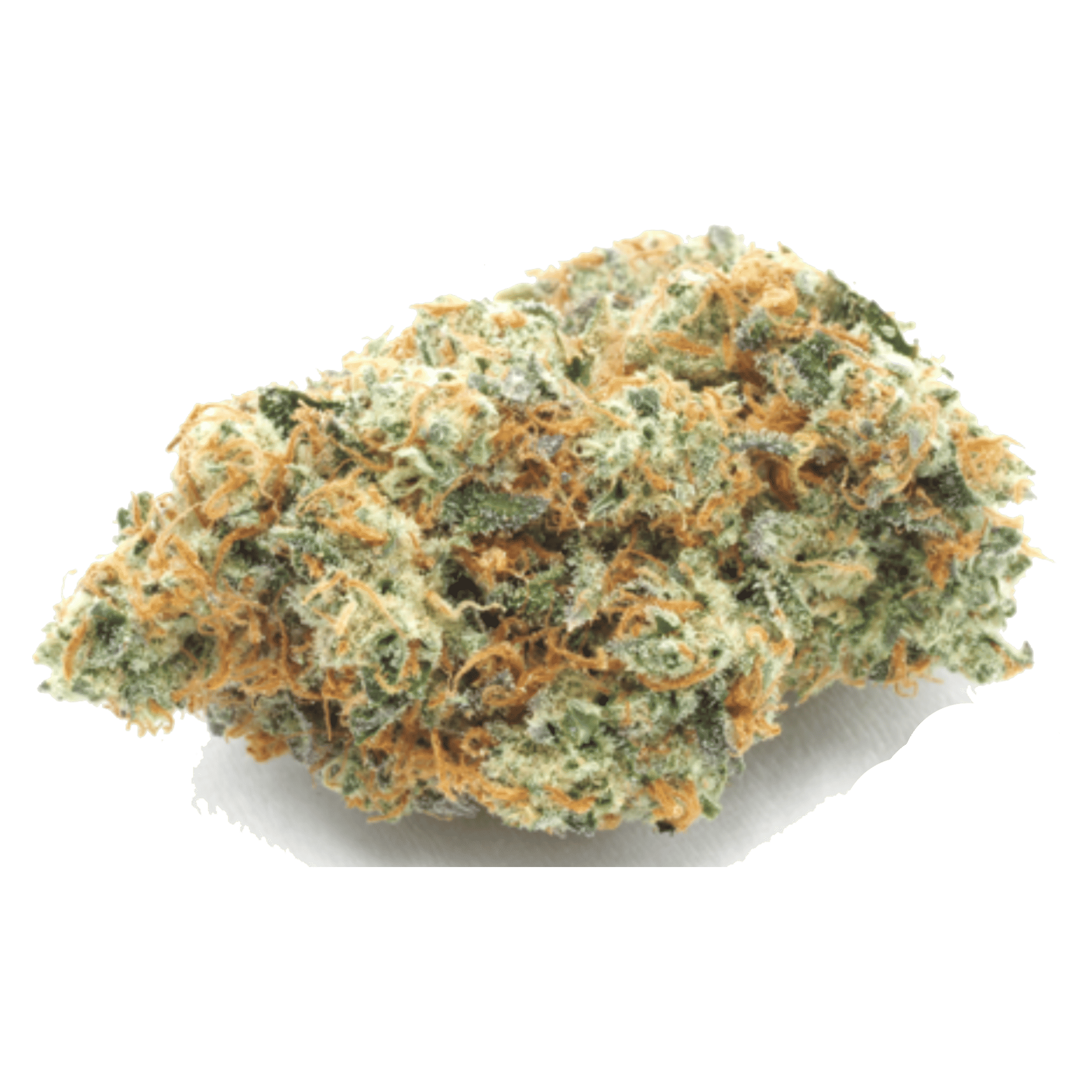 SFV OG - Jar - Flower - Sense - Eighth - $49.99 - Flower