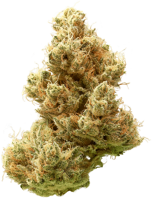 Heirbloom - Banana OG - Cannabiotix - Eighth - $45 - Flowers