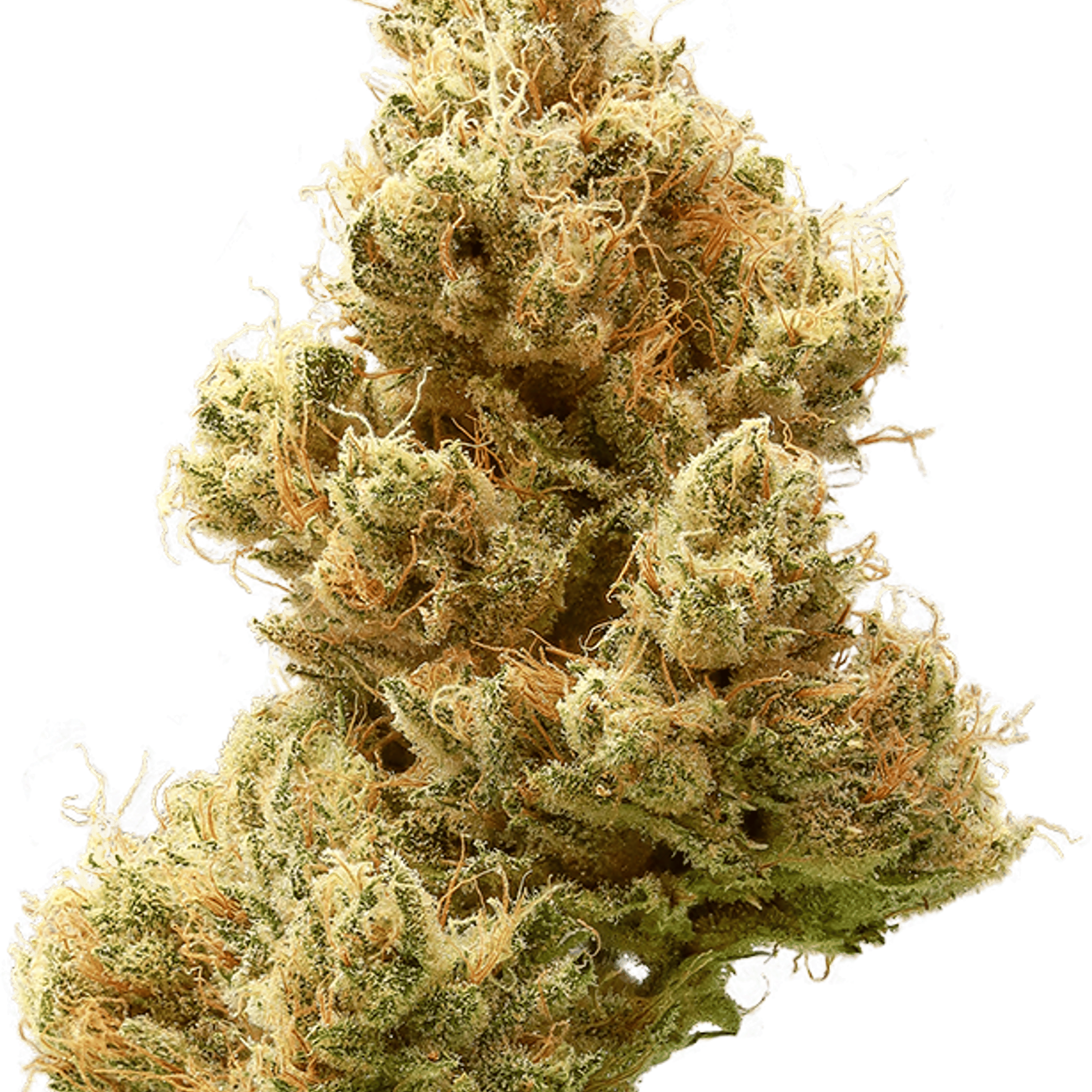 Heirbloom - Banana OG - Cannabiotix - Eighth - $45 - Flowers