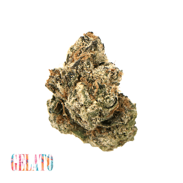 Gelato | 3.5g