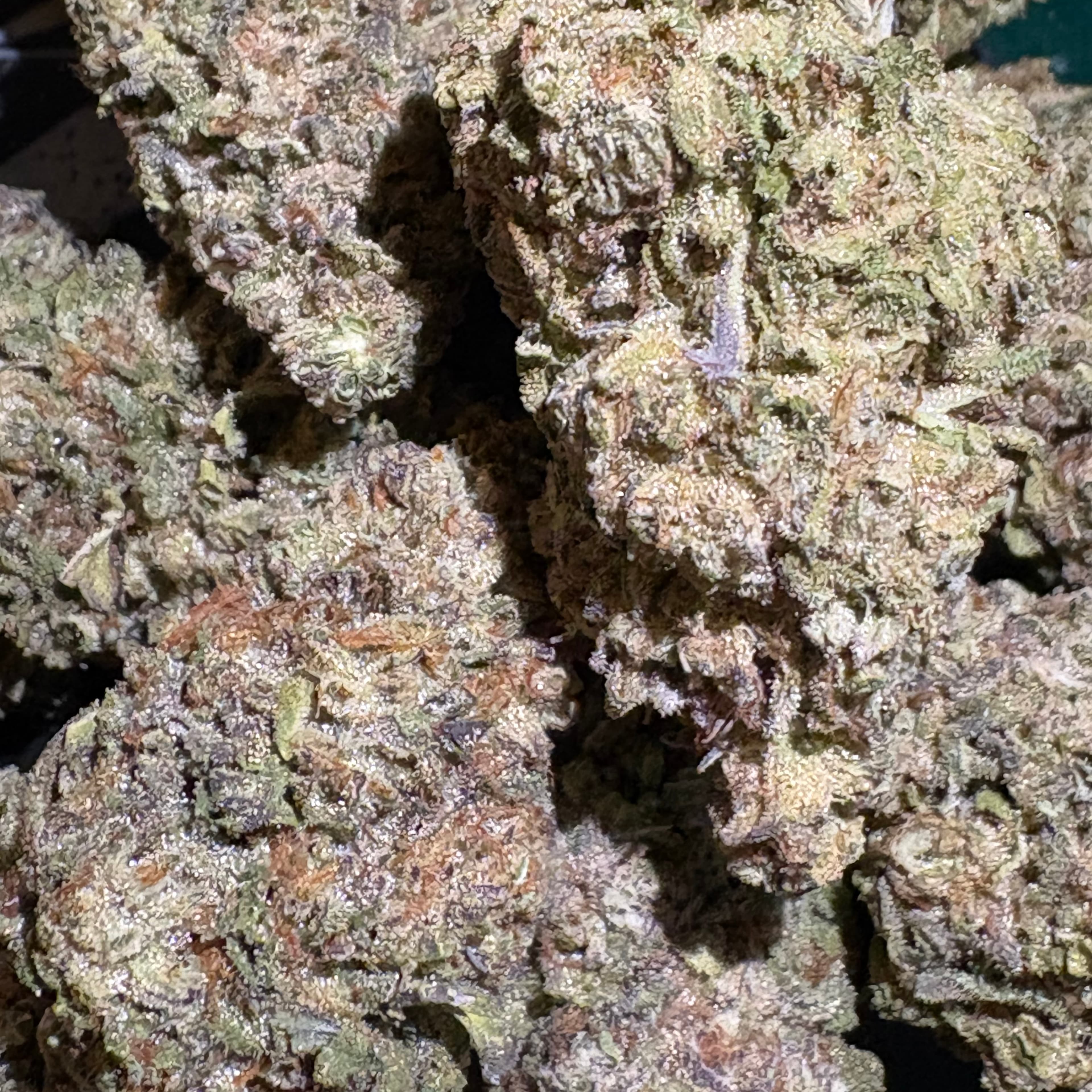 $30 Mangolicious 14g 32% THC (Premium) - Sum Good - - $30 - Flowers