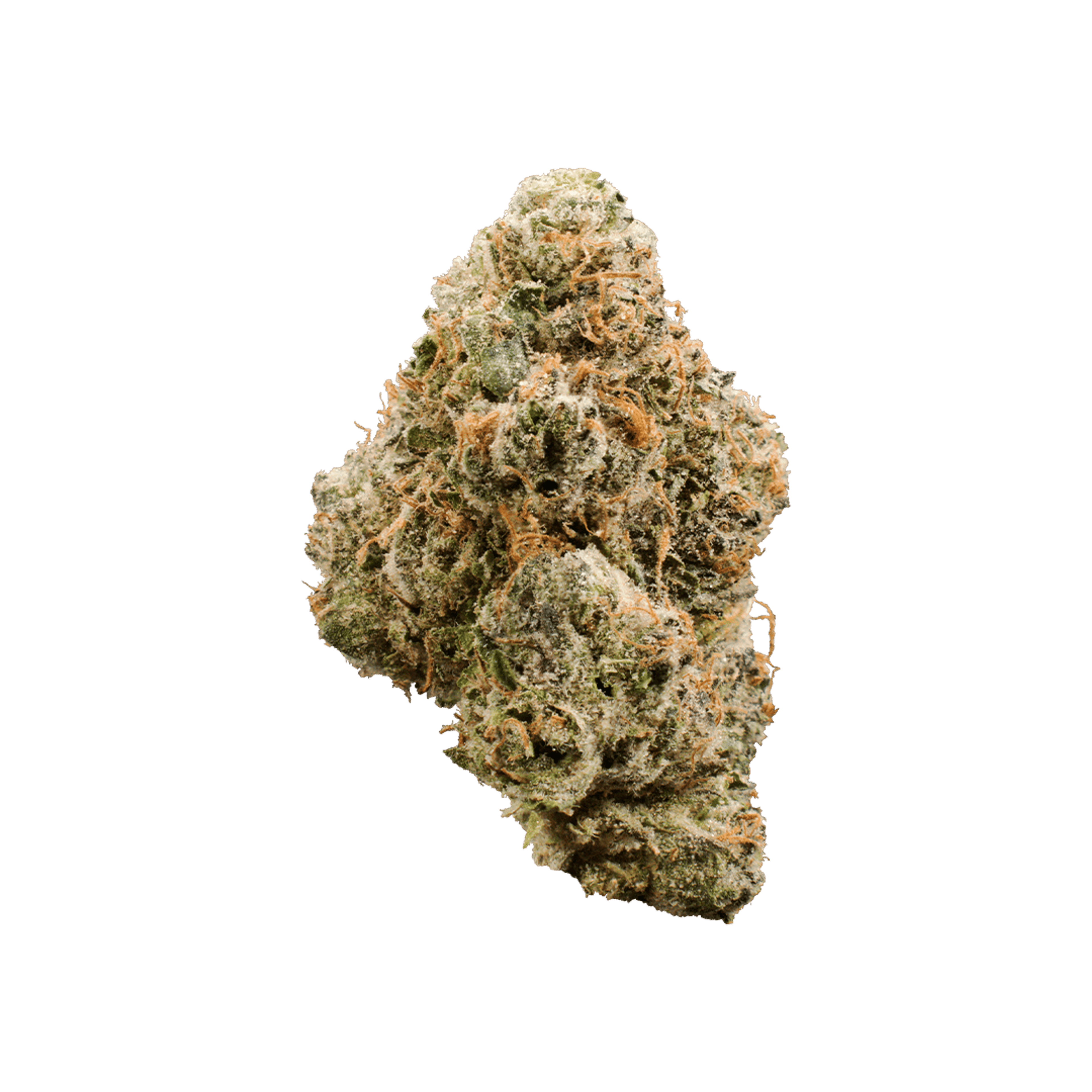 Lemon Cherry Gelato 14g Indoor - XOTX - - $57.62 - Flowers