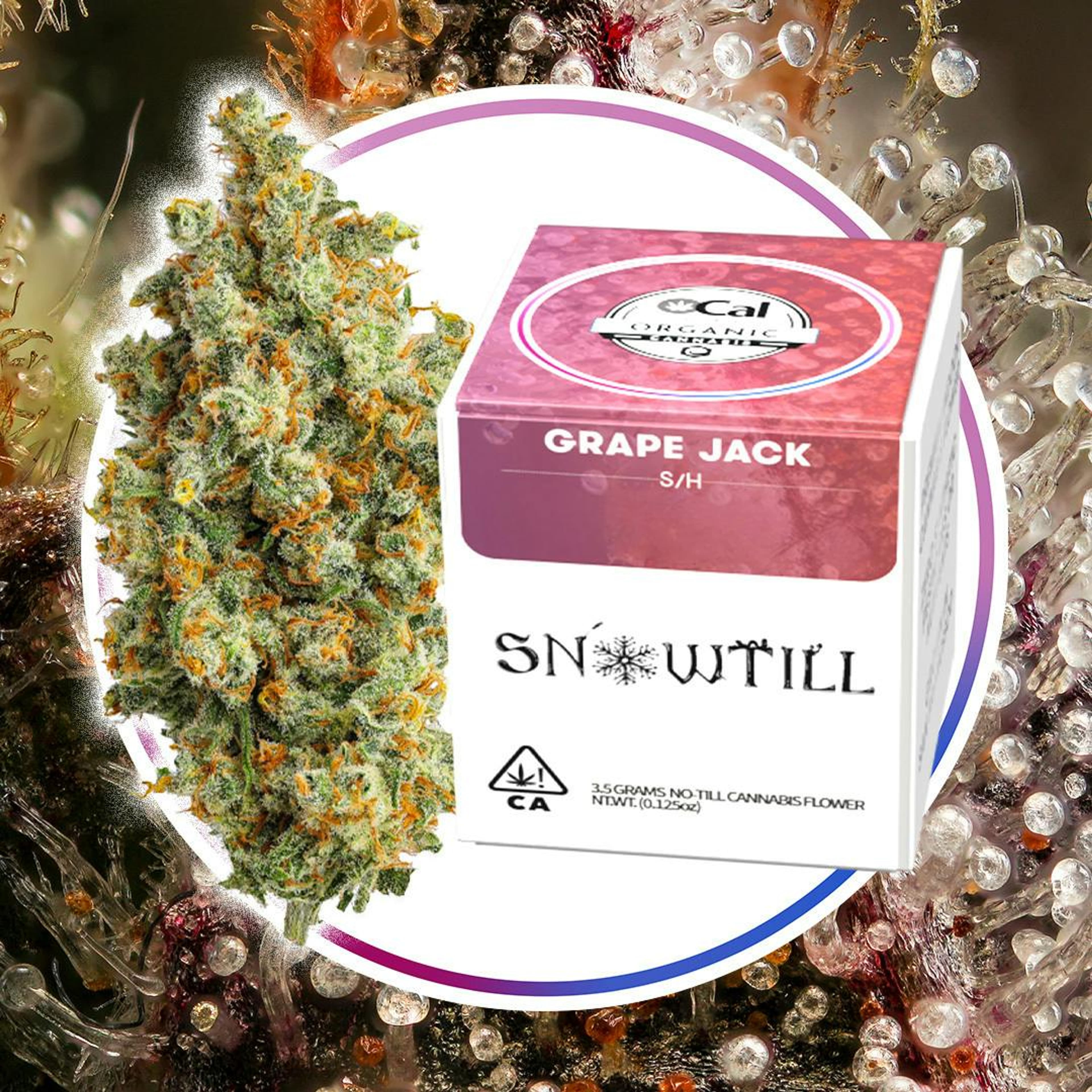 SNOWTILL - Grape Jack (S/H) - Top Shelf Indoor - Snowtill - Gram Pouch - $20 - Flower