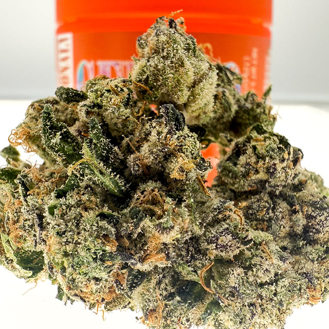 Gelato