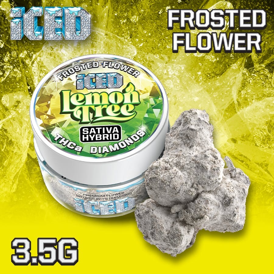 ICED - Lemon Tree (S/H) - 3.5g Infused Flower - Iced - Jar - $50 - Flower