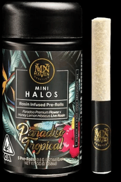 Mini Halo's - Paradiso Tropical 5pk - Maven Genetics -  - $35 - Pre-Roll