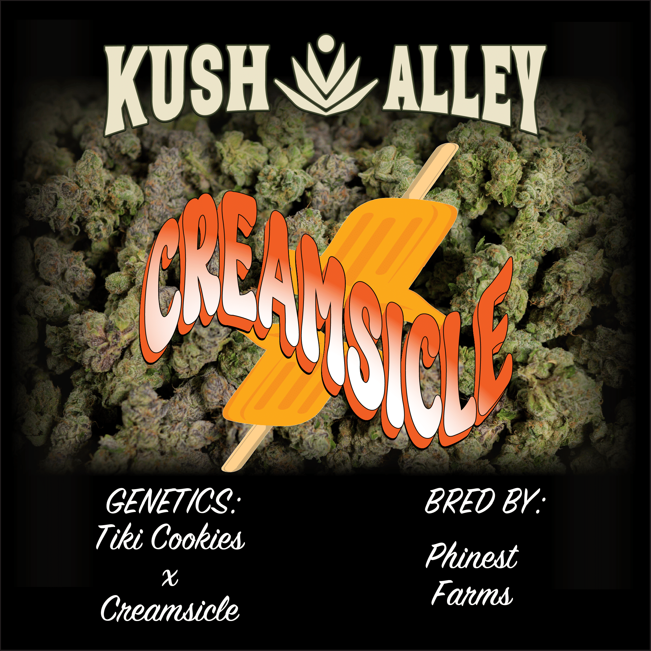 Creamsicle - Kush Alley - 4 Grams - $35 - Flower