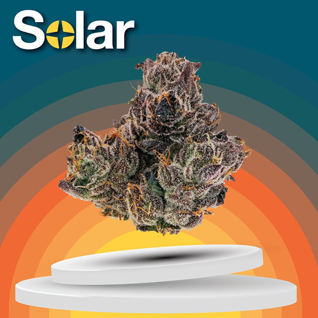 Gelato 33