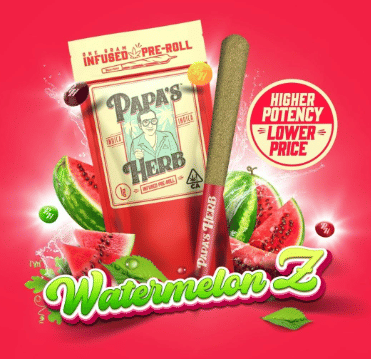 Infused Pre-Roll - Watermelon Z 1g - Papa's Herb -  - $12 - Pre-Roll
