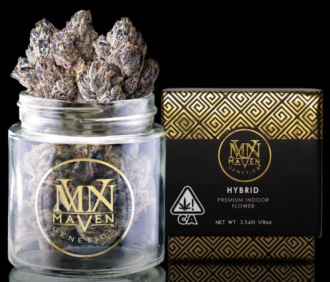 Maven Genetics: New Money