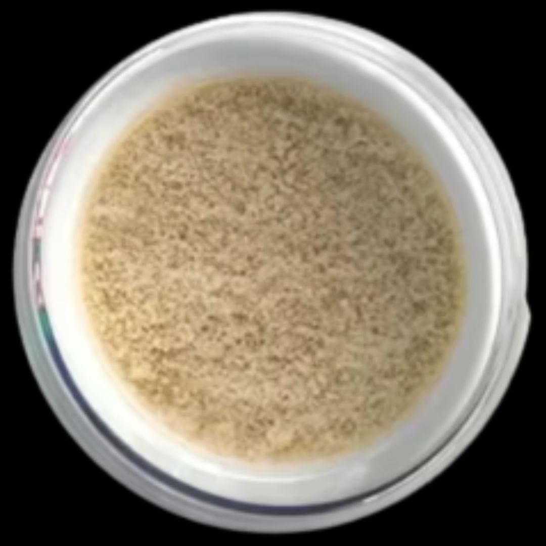 Tutti / Biscotti — White Widow Bubble