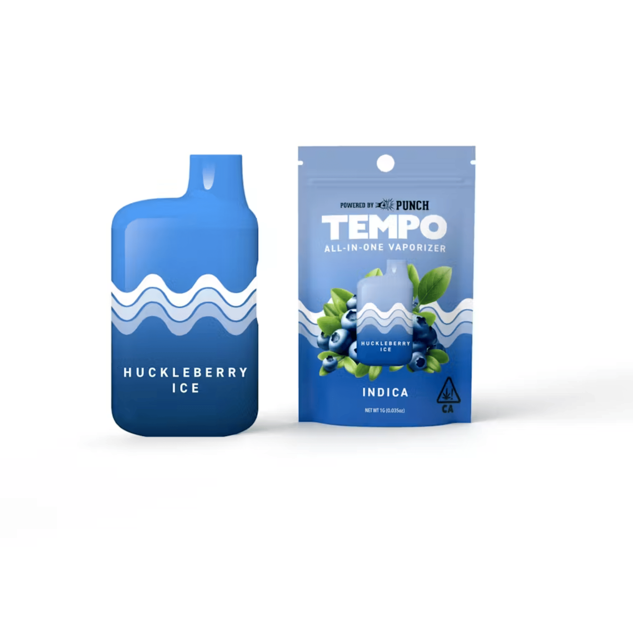 TEMPO: Huckleberry Ice