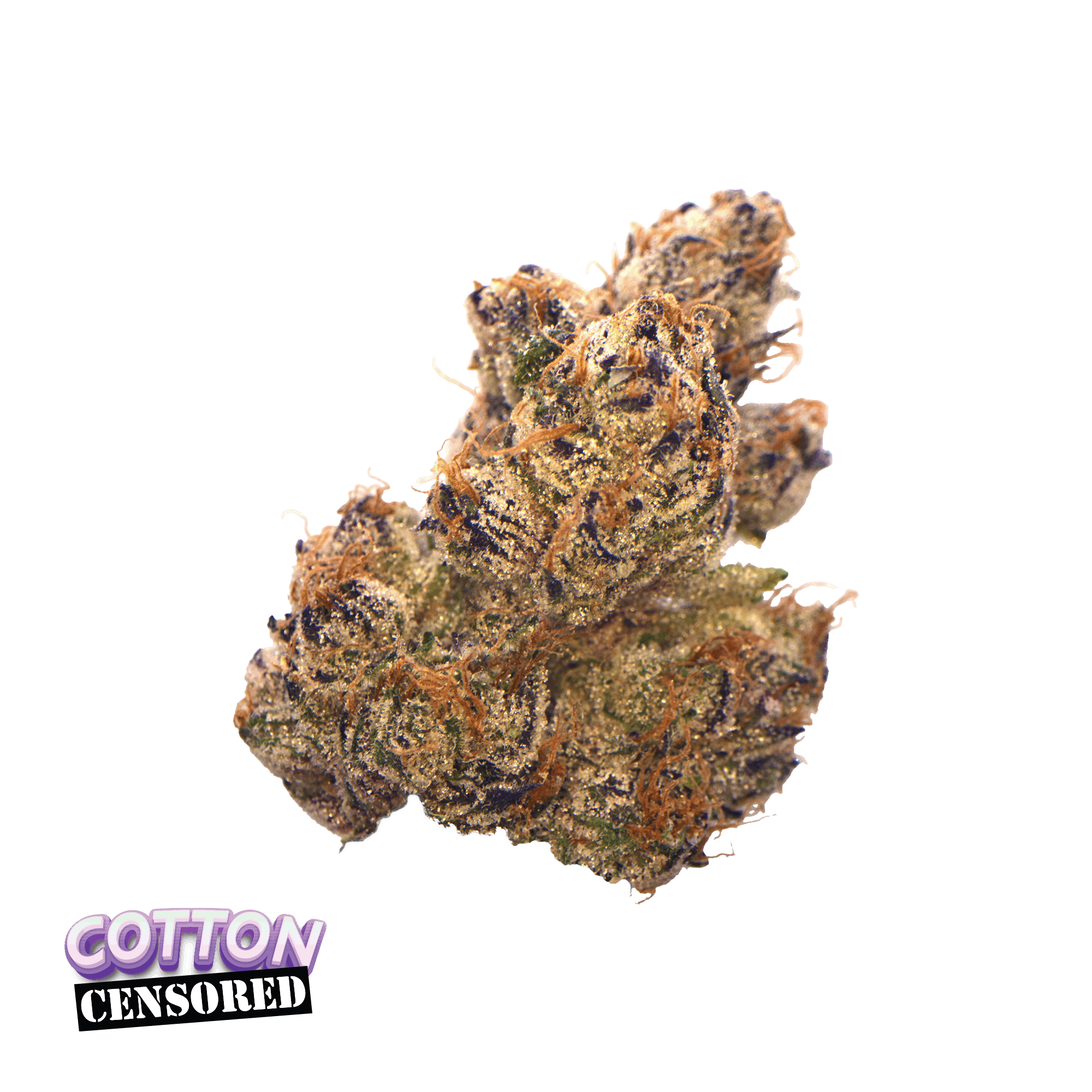 Traditional: Cotton Censored Minis