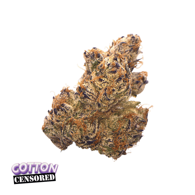 Traditional: Cotton Censored Minis