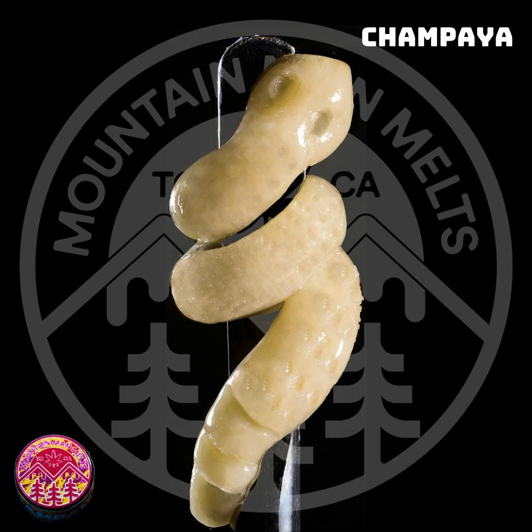 Champaya - Live Rosin 1G - Mountain Man Melts - Champaya Live Rosin (S) - $42 - Concentrates