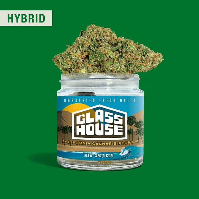 Glass House Flowers - Bolo R*ntz (3.5g Hybrid) *NEXT DAY DELIVERY ONLY*
