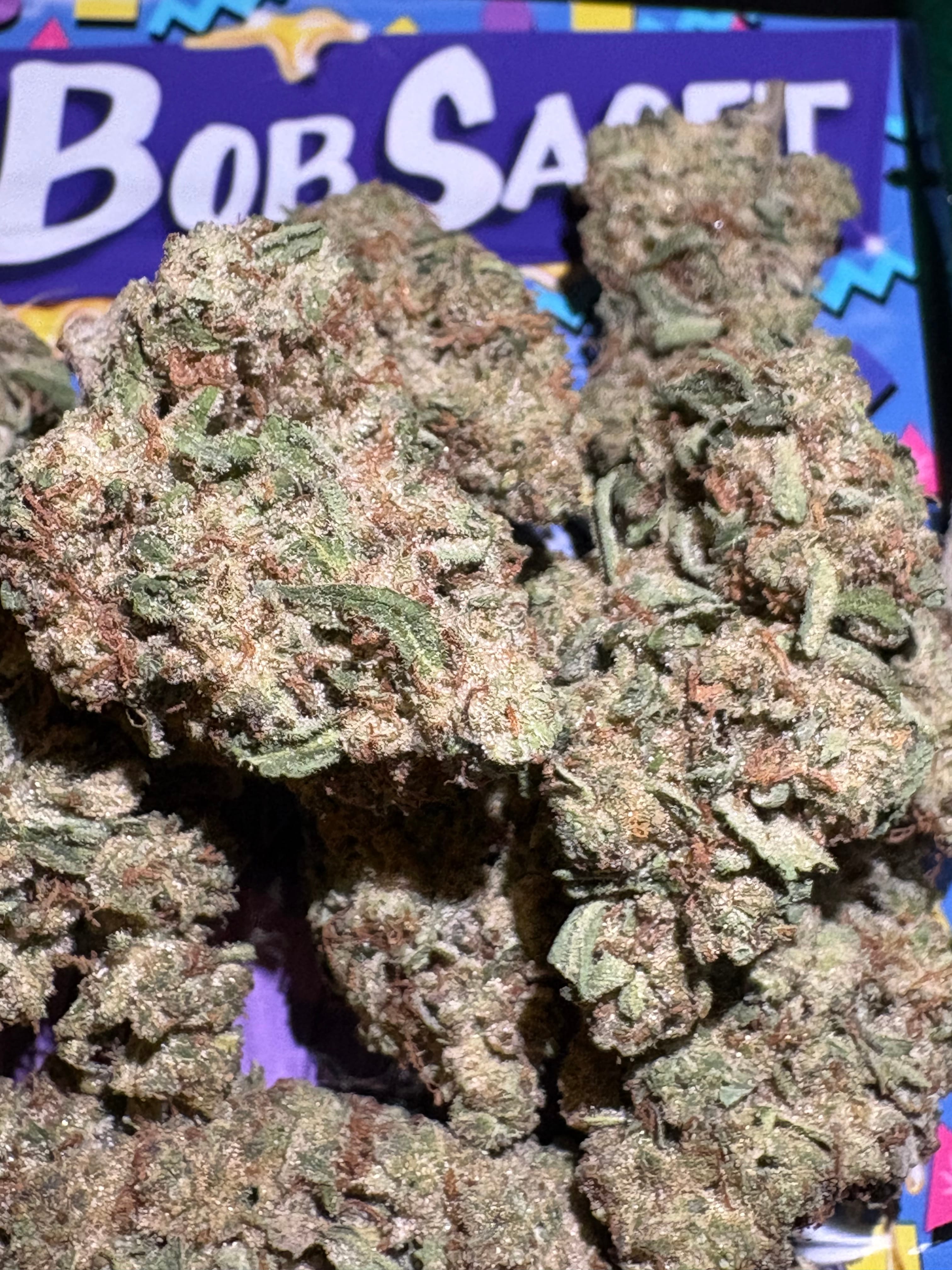 $10 Bob Saget - 32% THC (AAA-Grade) - Sum Good -  - $10 - Flowers