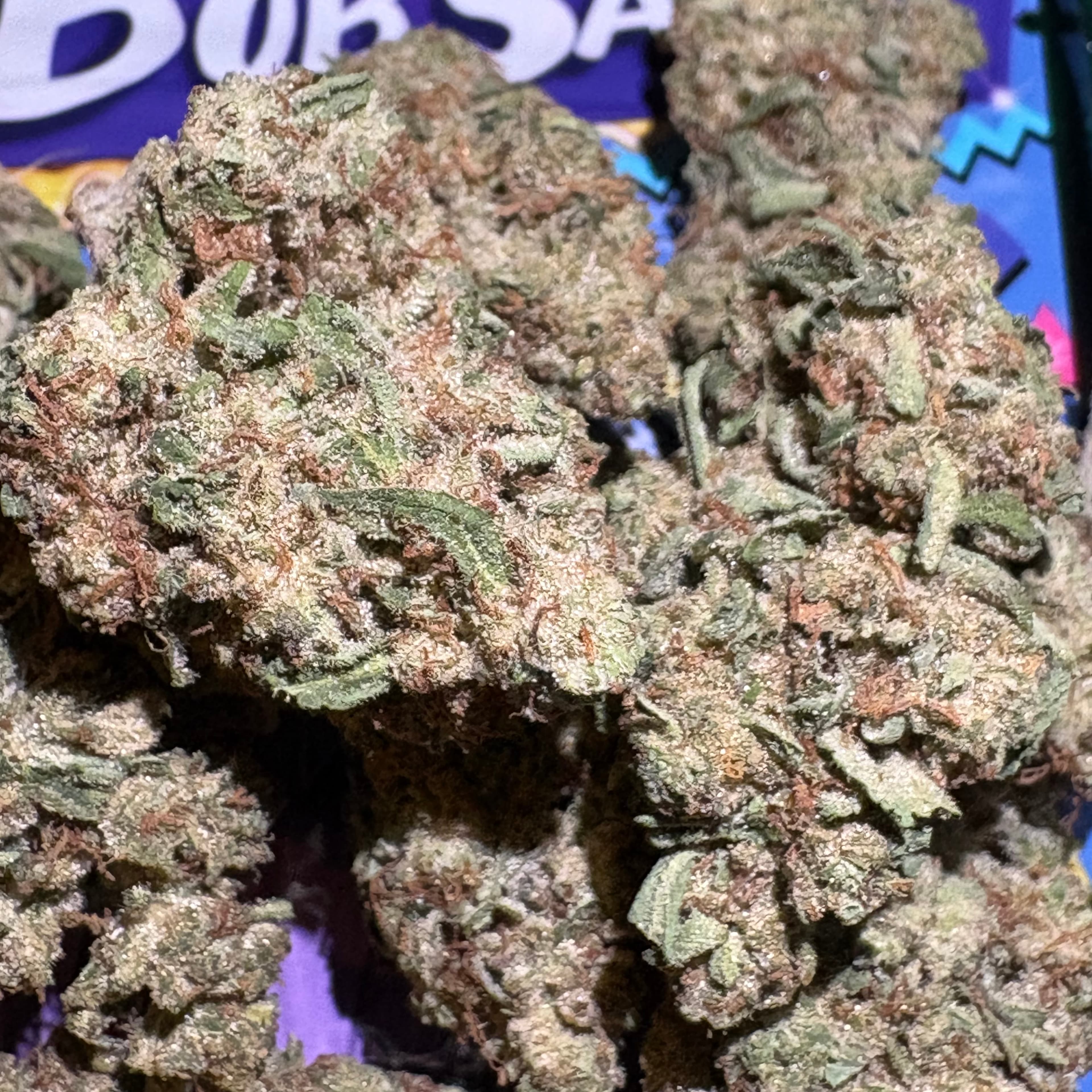 $10 Bob Saget - 32% THC (AAA-Grade) - Sum Good - - $10 - Flowers