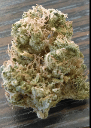 Acapulco Gold - Up North Humboldt - eighth - $60 - Flowers