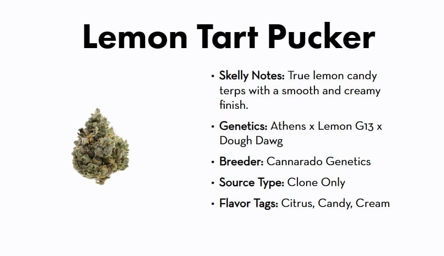 710 Labs - Lemon Tart Pucker #1 3.5g - 710 Labs - 710 Labs - Lemon Tart Pucker #1 3.5g - $75 - Flower