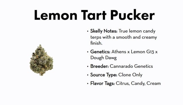 710 Labs: Lemon Tart Pucker #1