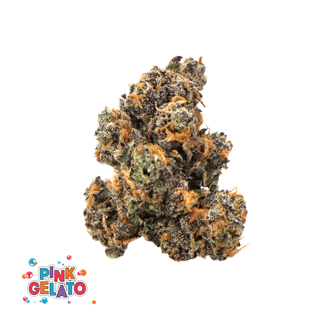 Pink Gelato | 5g Minis