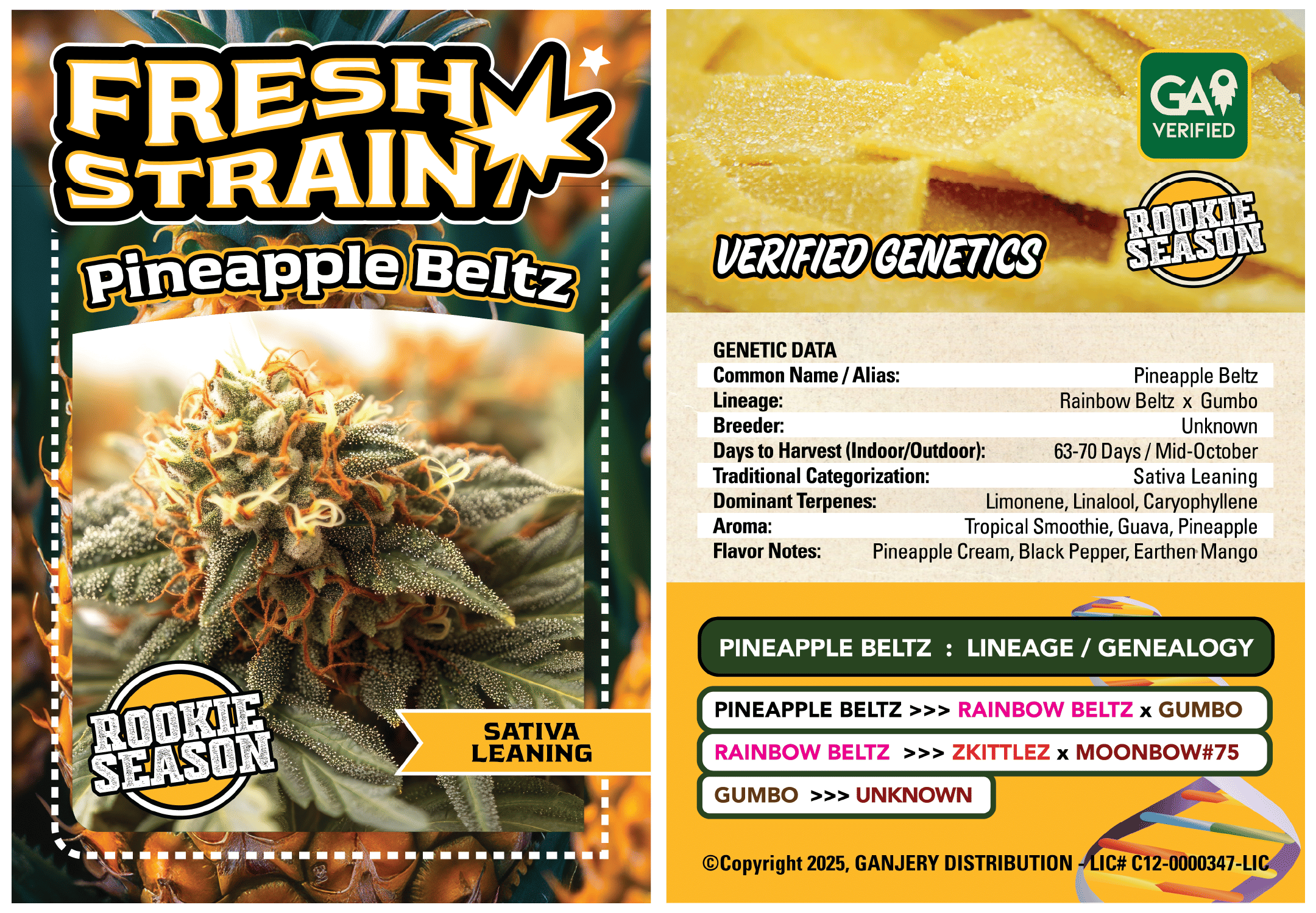 Fresh Strain — Pineapple Beltz