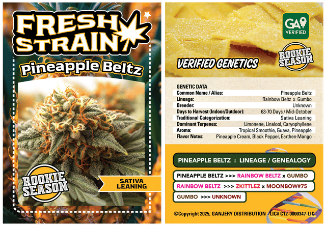 Pineapple Beltz - 3.5g