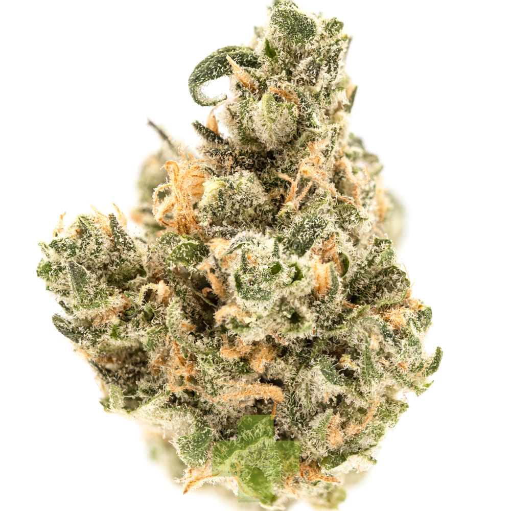 Top Shelf Cultivation — Blue Dream