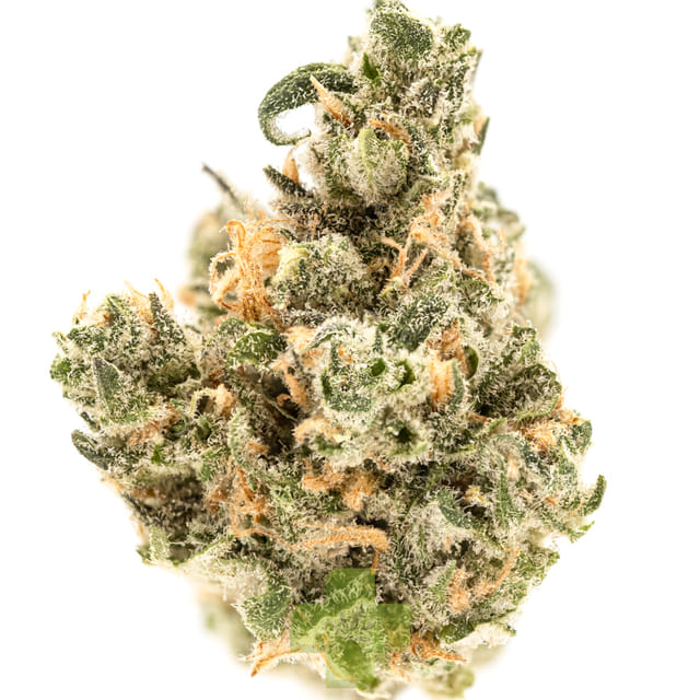 Top Shelf Cultivation — Blue Dream
