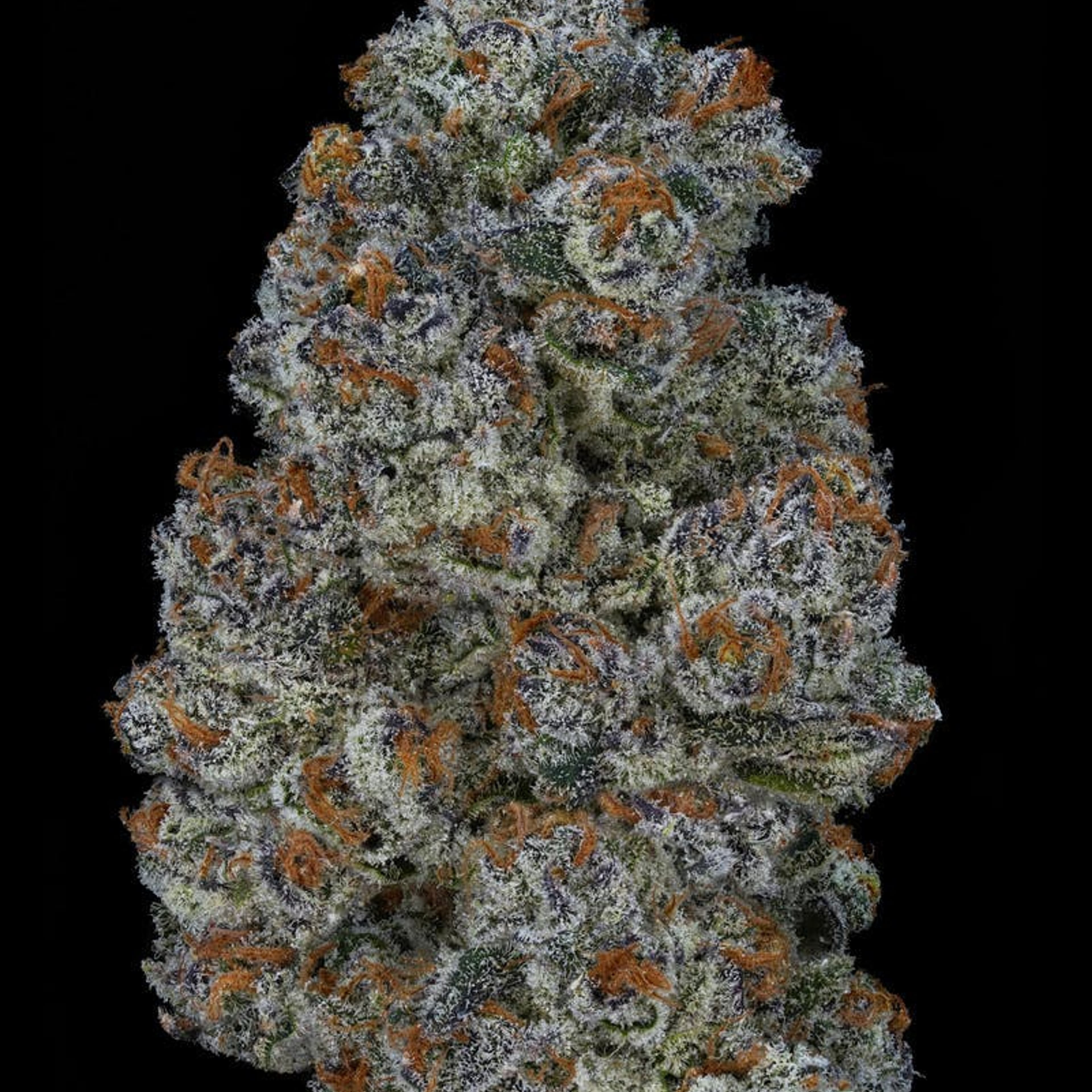 HEADLIGHTENMENT // PREMIUM INDOOR BIGS - 3.5g - AETHER FIELDS - - $43.22 - Flowers